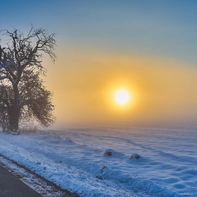 Eine verschneite Landschaft bei Sonnenaufgang, mit einem kahlen Baum links im Bild.