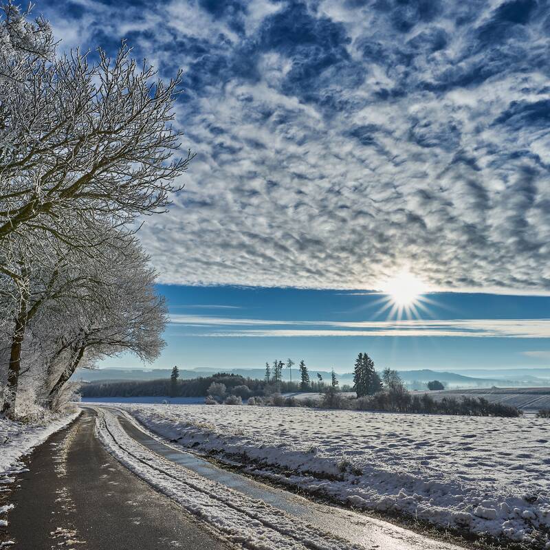 Eine winterliche Landschaft mit schneebedeckten Feldern, vereisten Bäumen entlang eines Weges und einem strahlenden Sonnenschein am wolkigen Himmel.