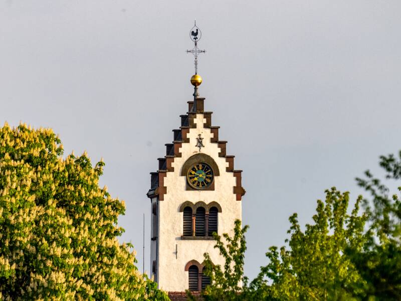 Ein Kirchturm mit einem weißgekalkten Gebäude und dunkelbraunen Fensterläden ragt hinter üppigem grünen Laub hervor.