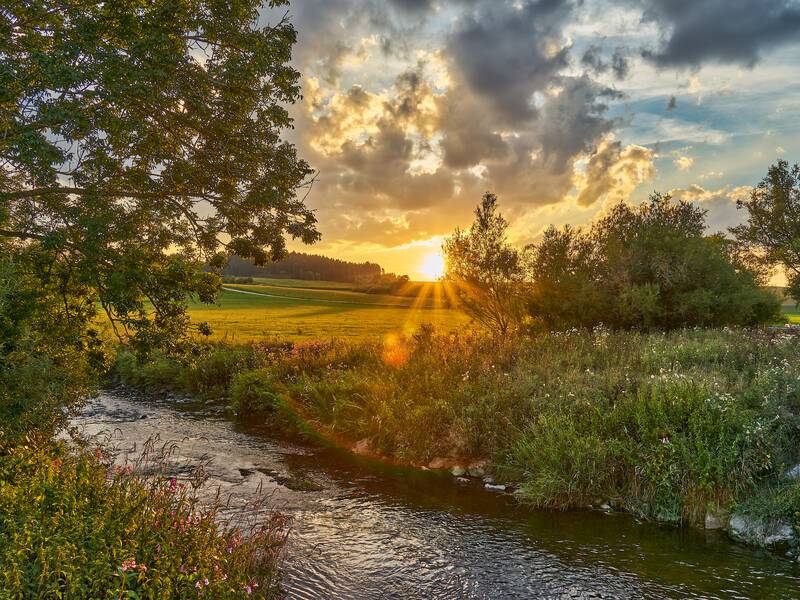 Bild von der Brigach mit Bäumen am Rand. Die sonne scheint beim Untergehen