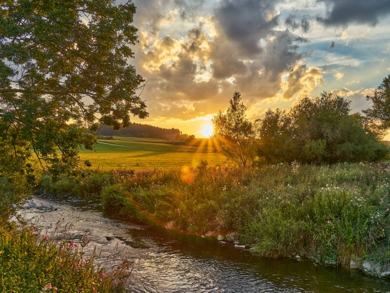 Bild von der Brigach mit Bäumen am Rand. Die sonne scheint beim Untergehen