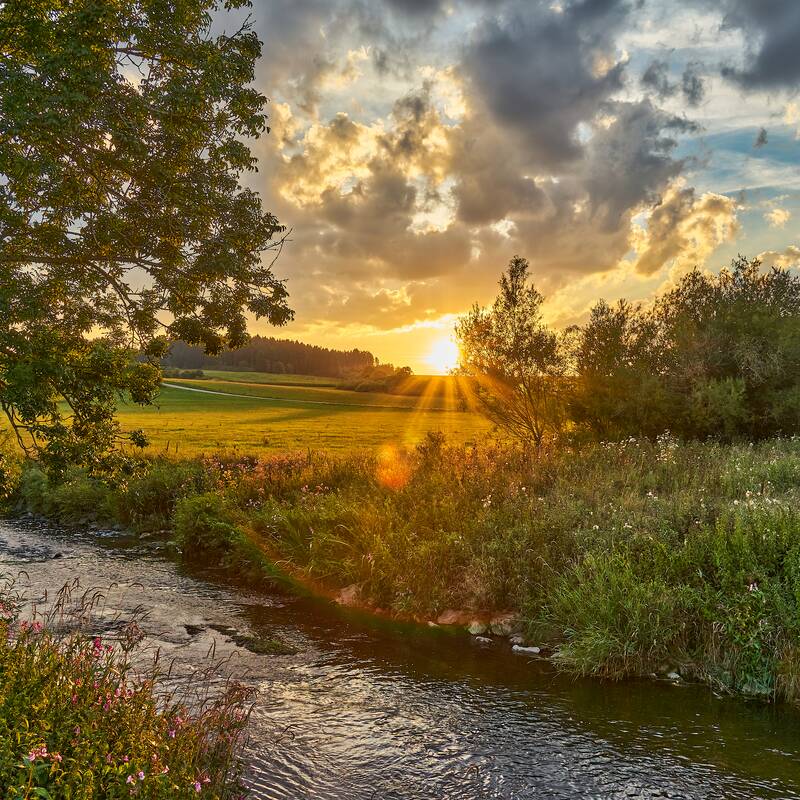 Bild von der Brigach mit Bäumen am Rand. Die sonne scheint beim Untergehen