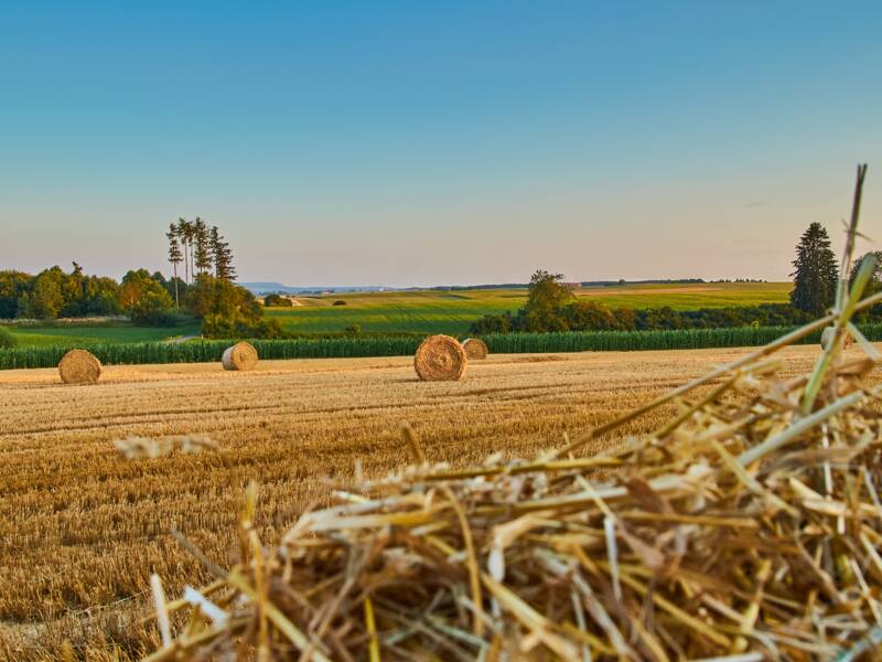 Ein abgemähtes Feld mit Strohballen. DIe Sonne geht unter 