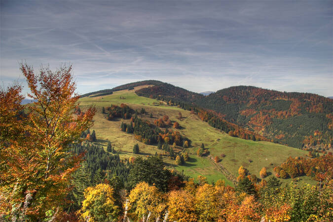 Eine herbstliche Hügellandschaft mit bunten Bäumen und einem bewaldeten Berg im Hintergrund unter einem bewölkten Himmel.