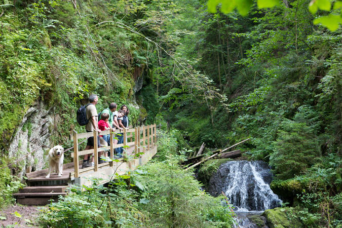 Eine Gruppe von Wanderern und ein Hund stehen auf einer Holzbrücke im Wald und beobachten einen kleinen Wasserfall umgeben von üppigem Grün.