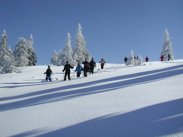 Einige Personen wandern mit Skistöcken durch eine verschneite Winterlandschaft mit schneebedeckten Bäumen und unberührter Schneedecke unter einem klaren blauen Himmel.