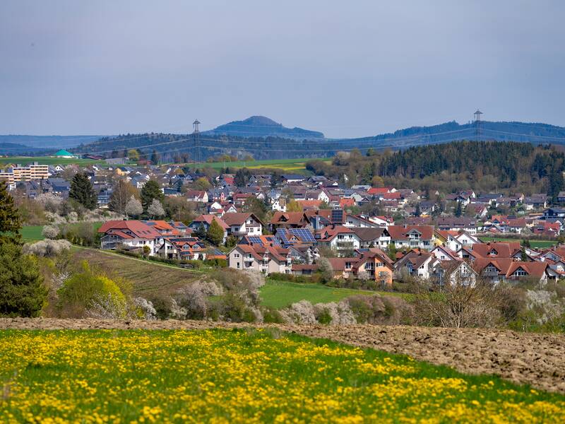 im Vordergrund Wiese, Im Hintergrund viele Häuser von Überauachen