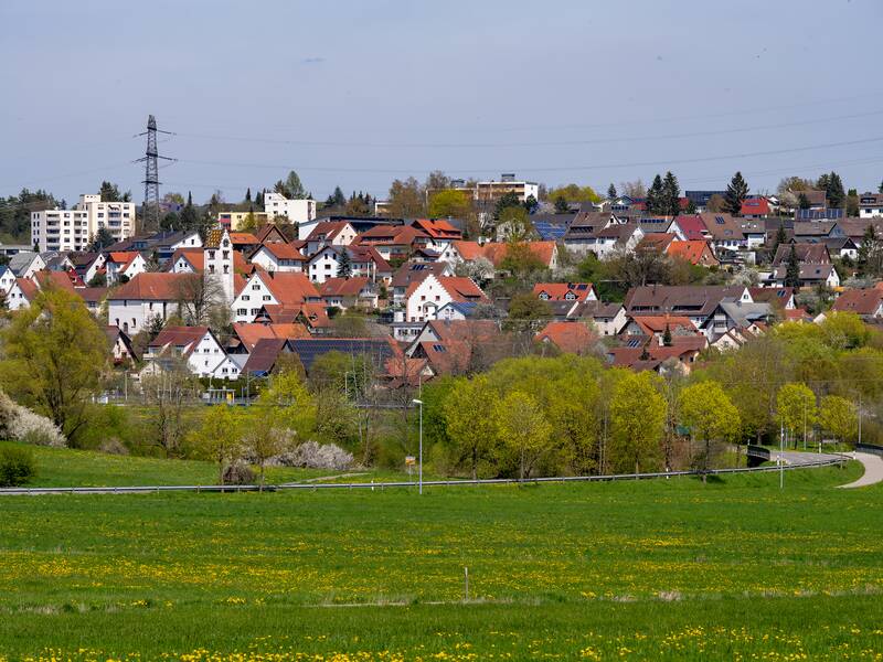   Ein Blick auf eine ländliche Siedlung mit mehrstöckigen Gebäuden und traditionellen Häusern, umgeben von grünen Bäumen und einer frühlingshaften Wiese im Vordergrund.