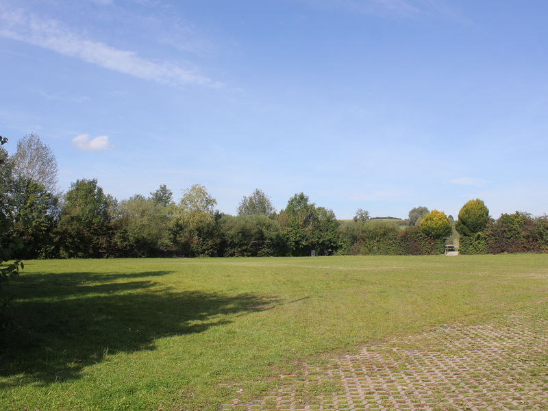 Grüne Wiese umgeben von Bäumen unter blauem Himmel.