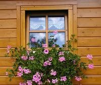 Holzfasade, in der Mitte ein kleines Fenster mit Gardine. Davor hängen rosa Blumen